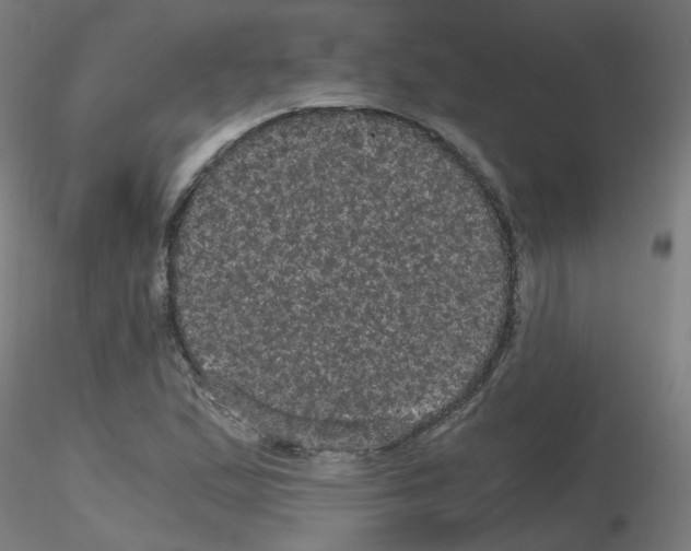X0000116121167201001040944