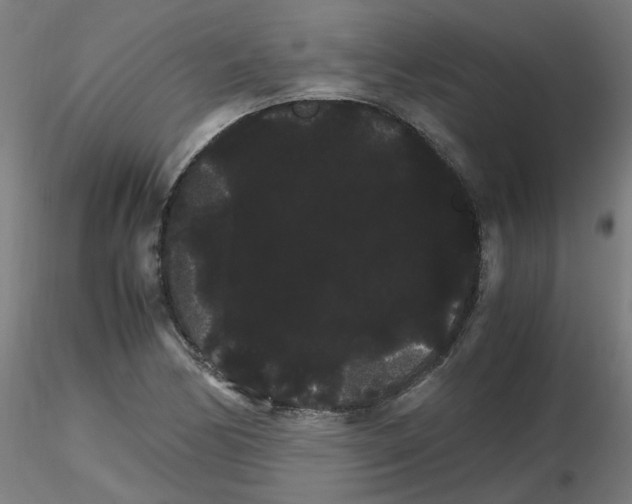 X0000116121170201001040944
