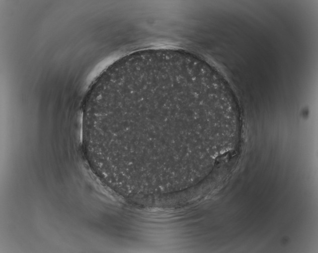 X0000116121171201001040944