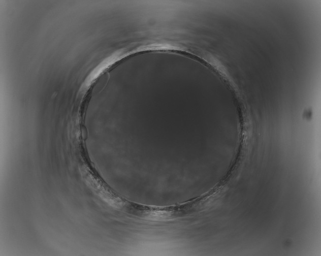 X0000116121173201001040944