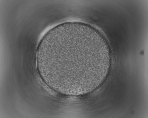 X0000116121175201001040944