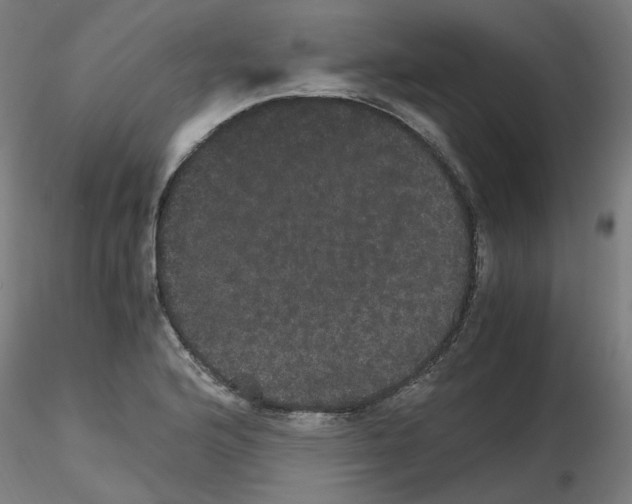 X0000116121176201001040944