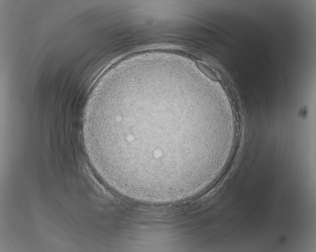 X0000116121177201001040944