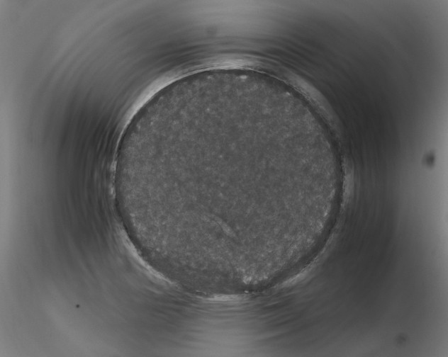 X0000116121178201001040944