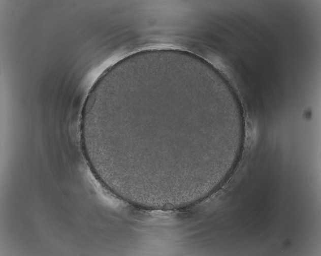 X0000116121181201001040944