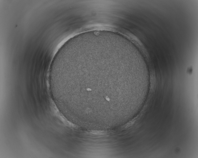 X0000116121182201001040944