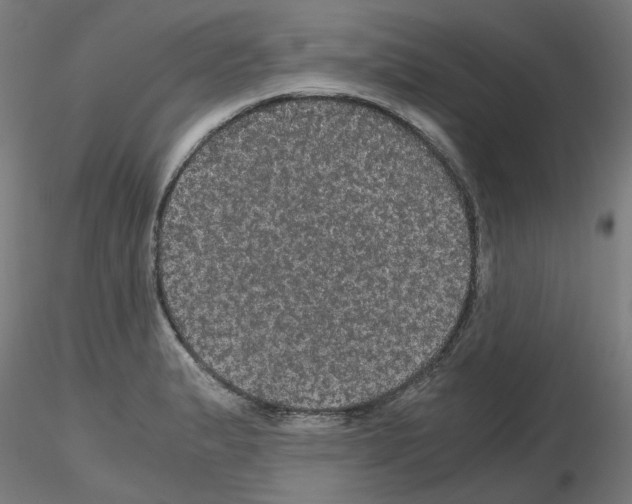 X0000116121183201001040944