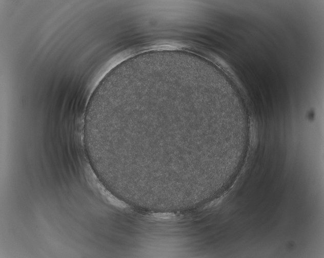X0000116121186201001040944