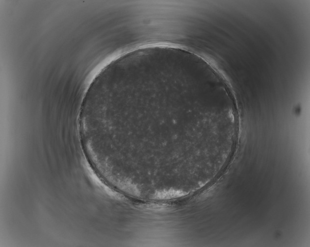 X0000116121189201001040944