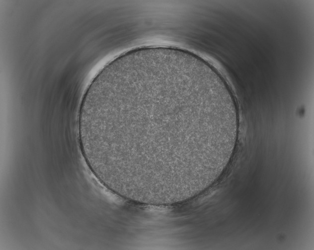 X0000116121191201001040944