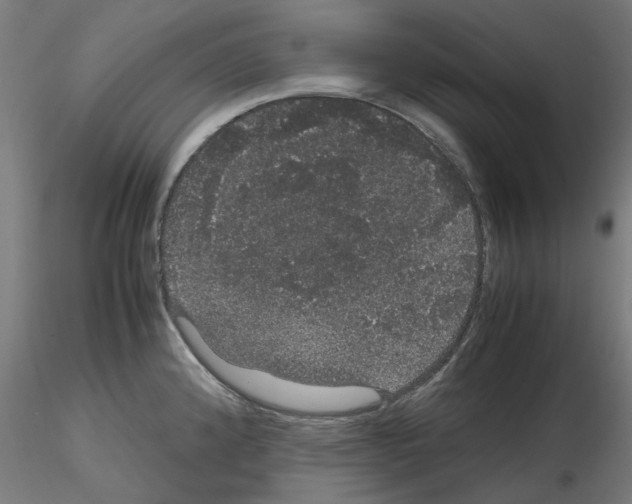 X0000116121192201001040944
