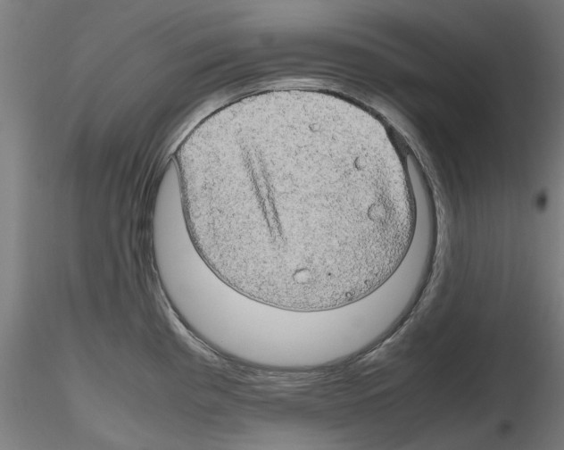 X0000116121193201001040944