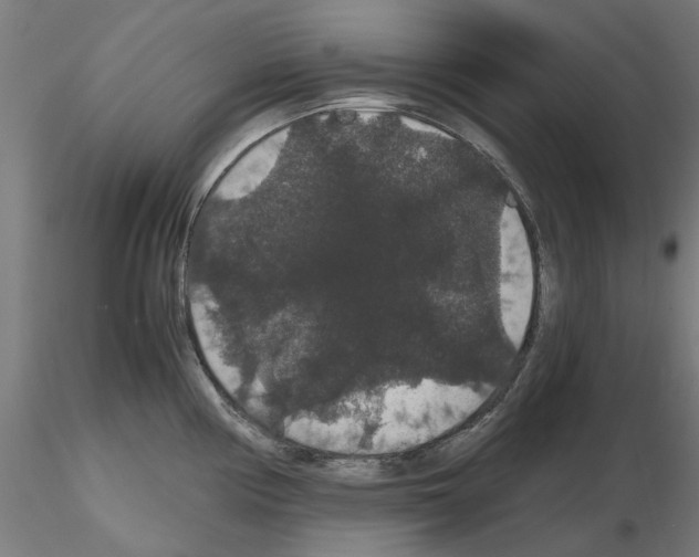 X0000116121194201001040944