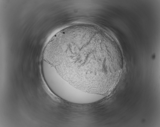 X0000116121195201001040944