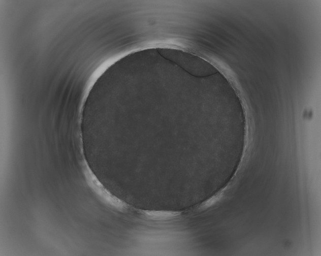 X0000116121200201001040944
