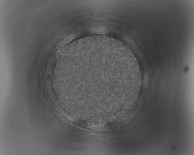 X0000116121201201001040943