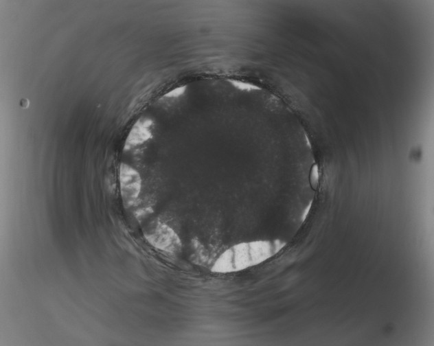 X0000116121202201001040943