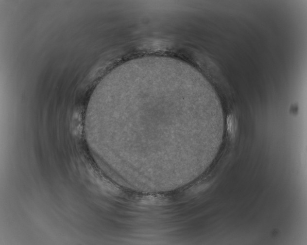 X0000116121203201001040943