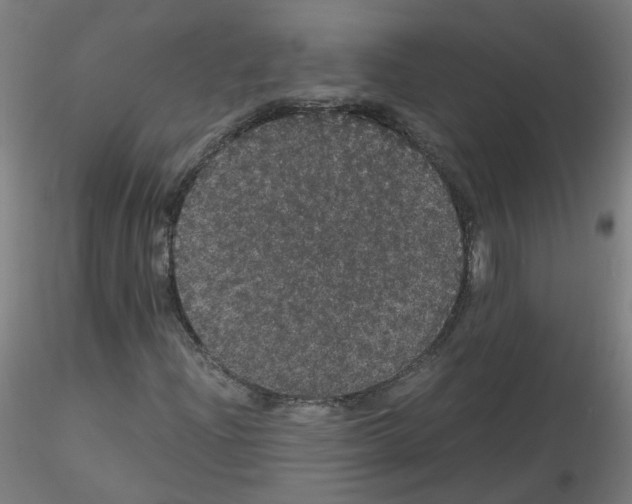 X0000116121204201001040943