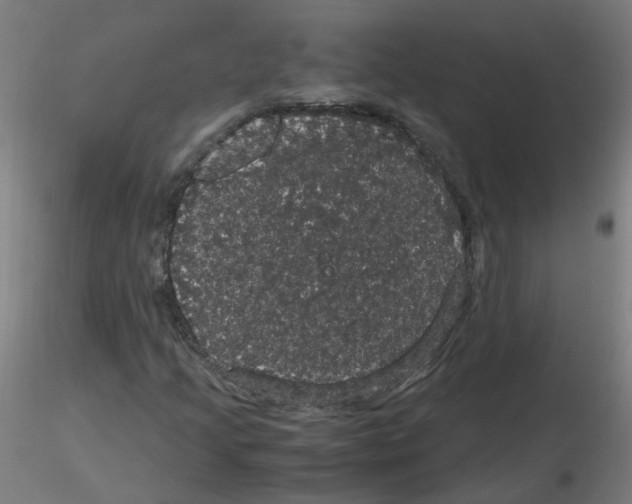 X0000116121205201001040943