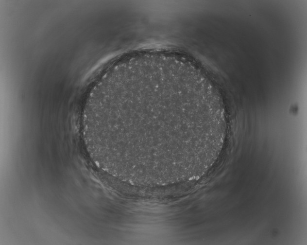 X0000116121206201001040943