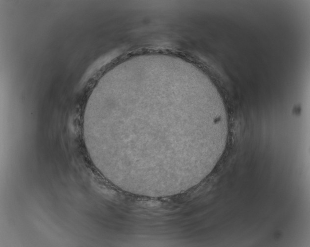 X0000116121207201001040943