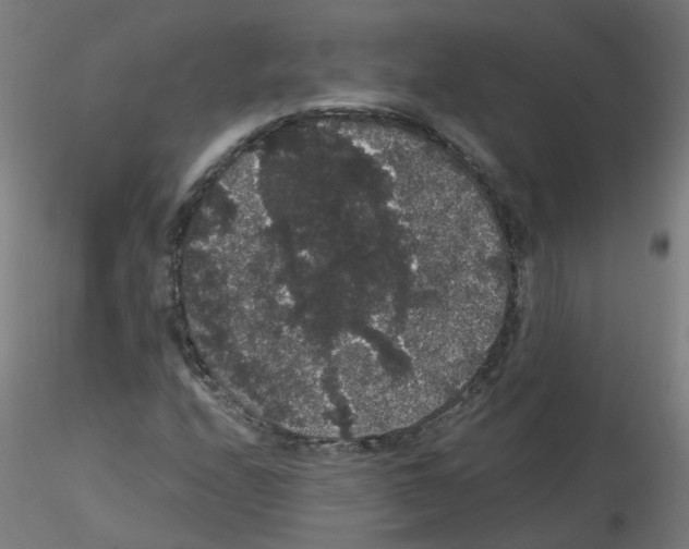 X0000116121208201001040943
