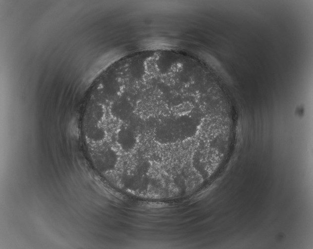 X0000116121209201001040943