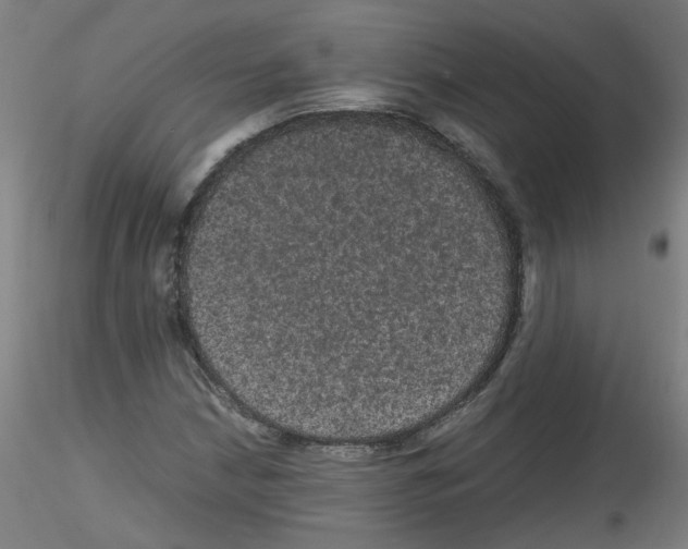 X0000116121210201001040943