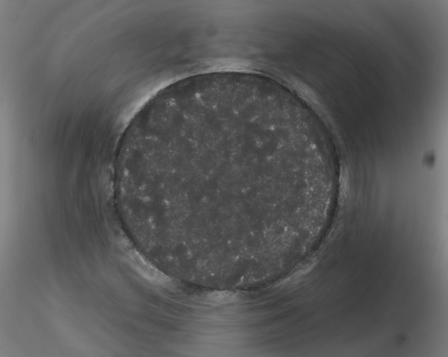 X0000116121212201001040943
