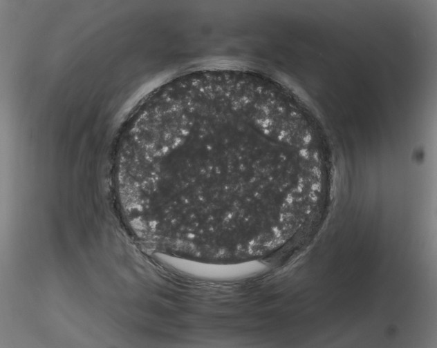 X0000116121213201001040943