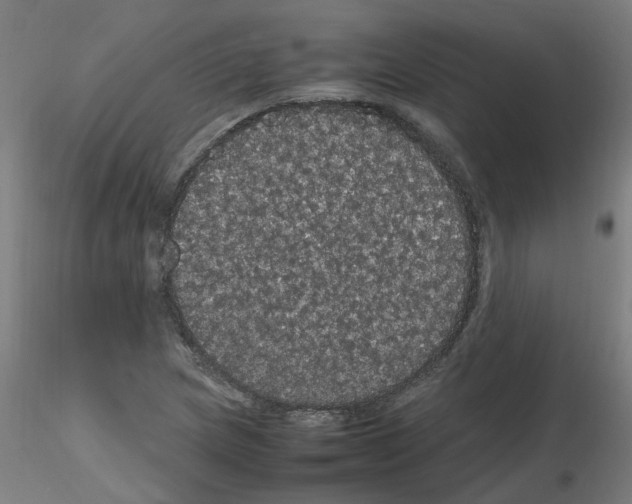 X0000116121217201001040943