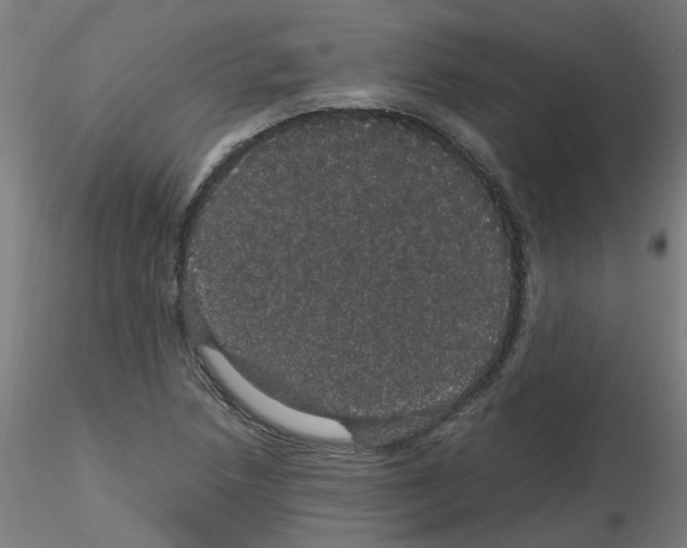 X0000116121218201001040943