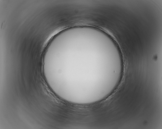 X0000116121219201001040943