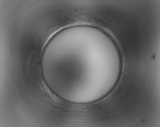 X0000116121220201001040943