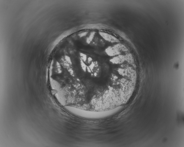 X0000116121221201001040943