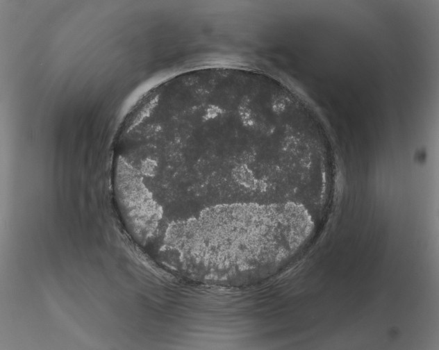 X0000116121222201001040943