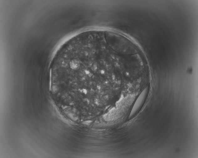 X0000116121223201001040943