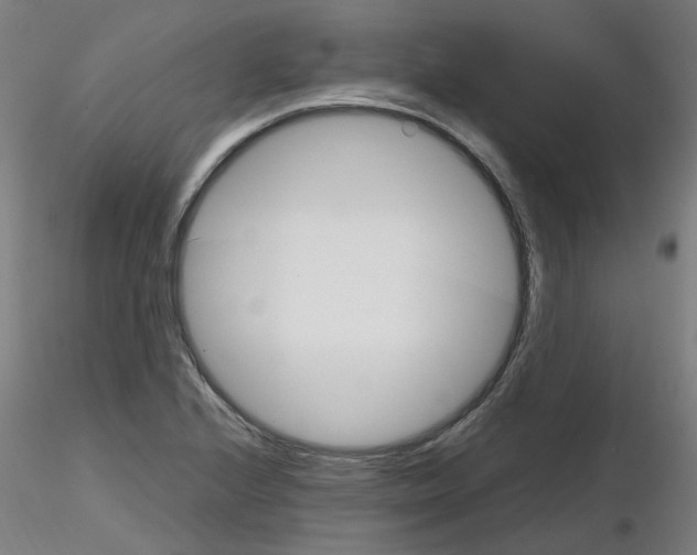 X0000116121224201001040943