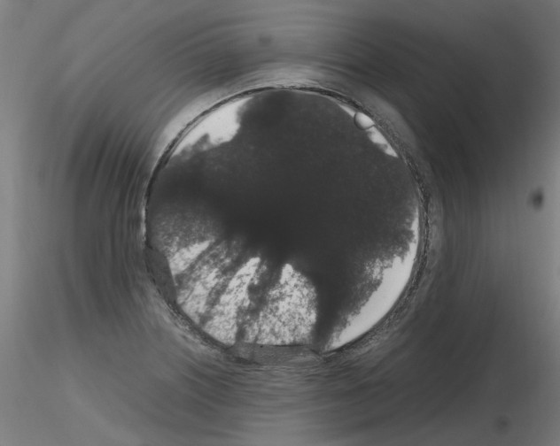 X0000116121226201001040943