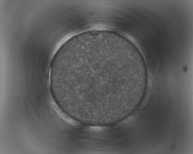 X0000116121227201001040943
