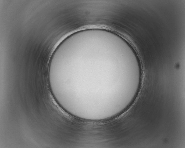 X0000116121228201001040943