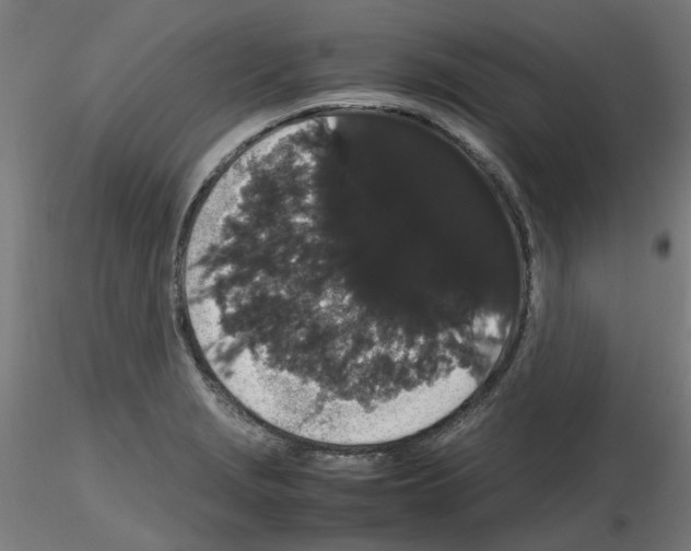 X0000116121229201001040943