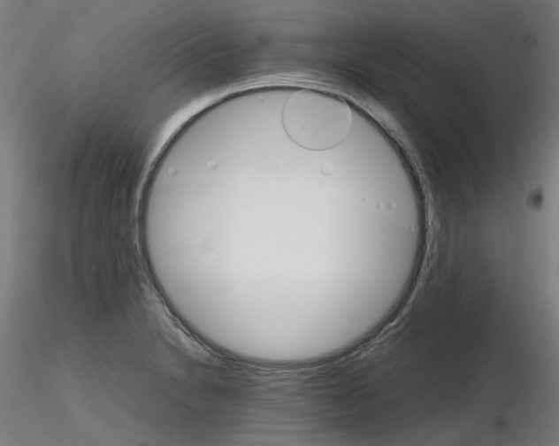 X0000116121230201001040943