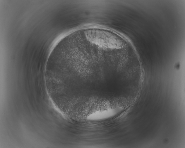 X0000116121231201001040943