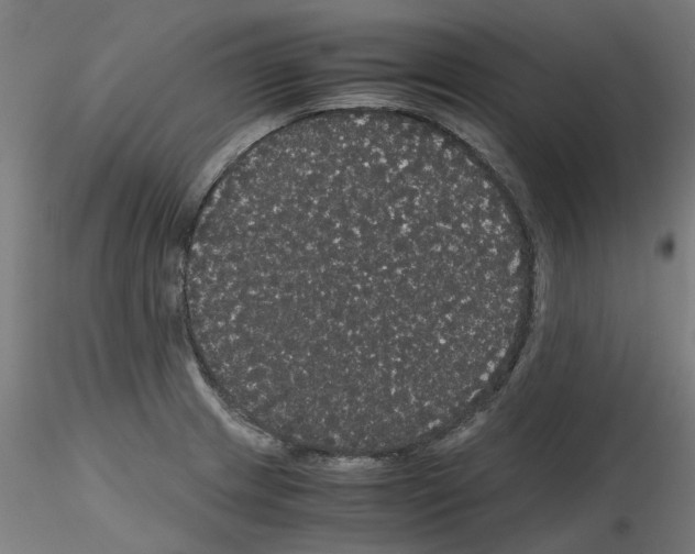 X0000116121233201001040943