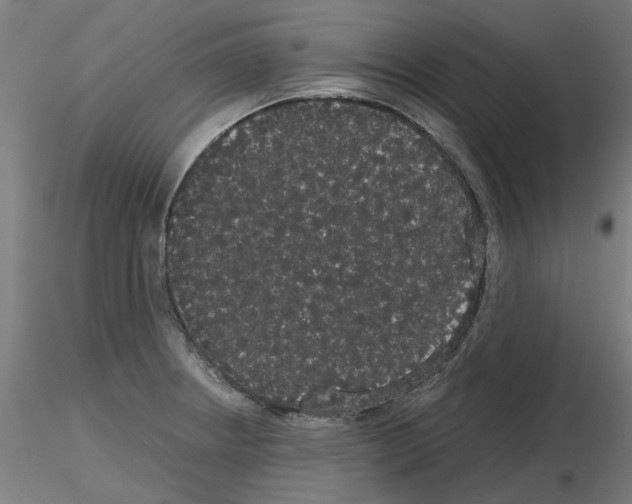 X0000116121234201001040943