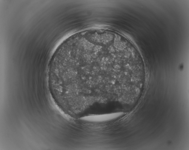 X0000116121235201001040943