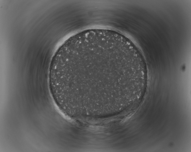 X0000116121237201001040943