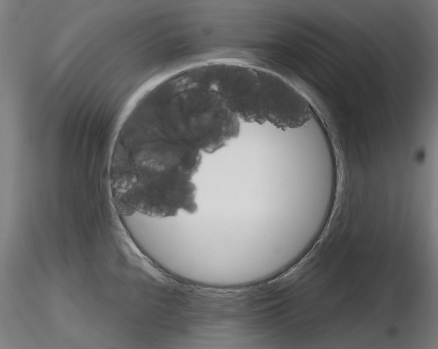 X0000116121240201001040943
